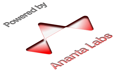 Services we offer